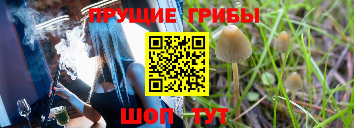 Галлюциногенные грибы Cubensis  Вход с VPN  Псилоцибиновые грибы MAGIC MUSHROOMS  цена наркотик  Ярославль 