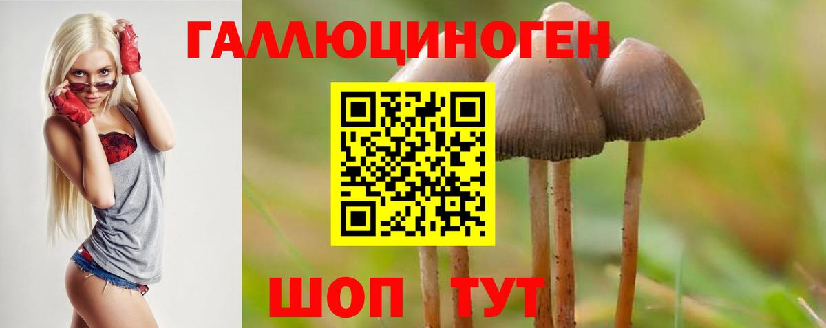 Галлюциногенные грибы прущие грибы Ярославль